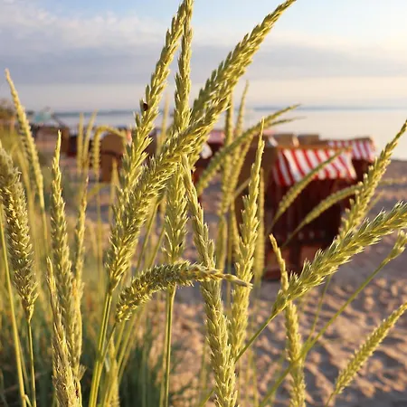 Luxus-strandhaus: Wellness-oase Mit Garten Und Grill Timmendorfer Strand