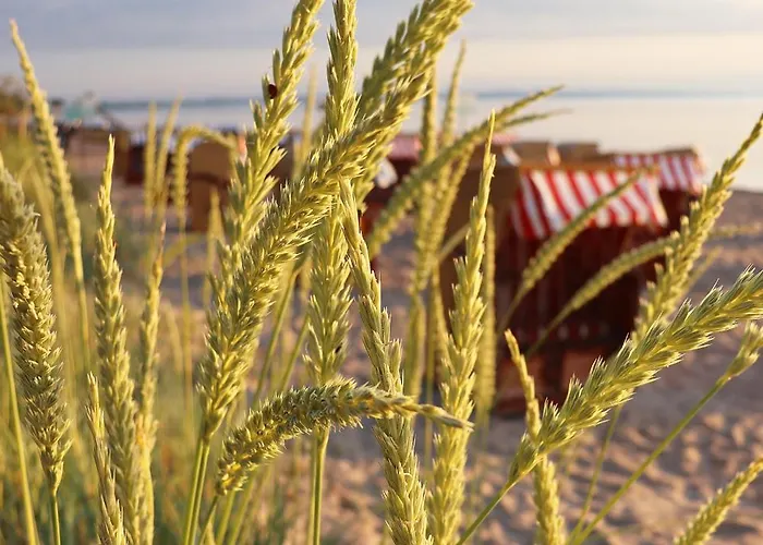 Rosenhaus - Luxorioeses Mit Viel Platz Fuer Ganze Familie Von 